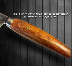 Нож-сантоку IPLATE L 295 мм