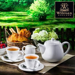 Чайник заварочный Wilmax 700 мл
