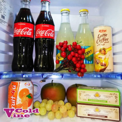 Шкаф барный холодильный Cold Vine MCA-28B
