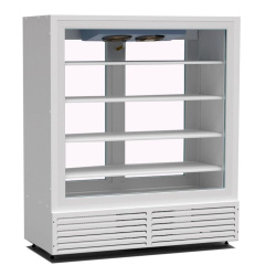 Шкаф морозильный ПРЕМЬЕР ШНУП1ТУ-1,4 С2 (В, -18) оконный стеклопакет